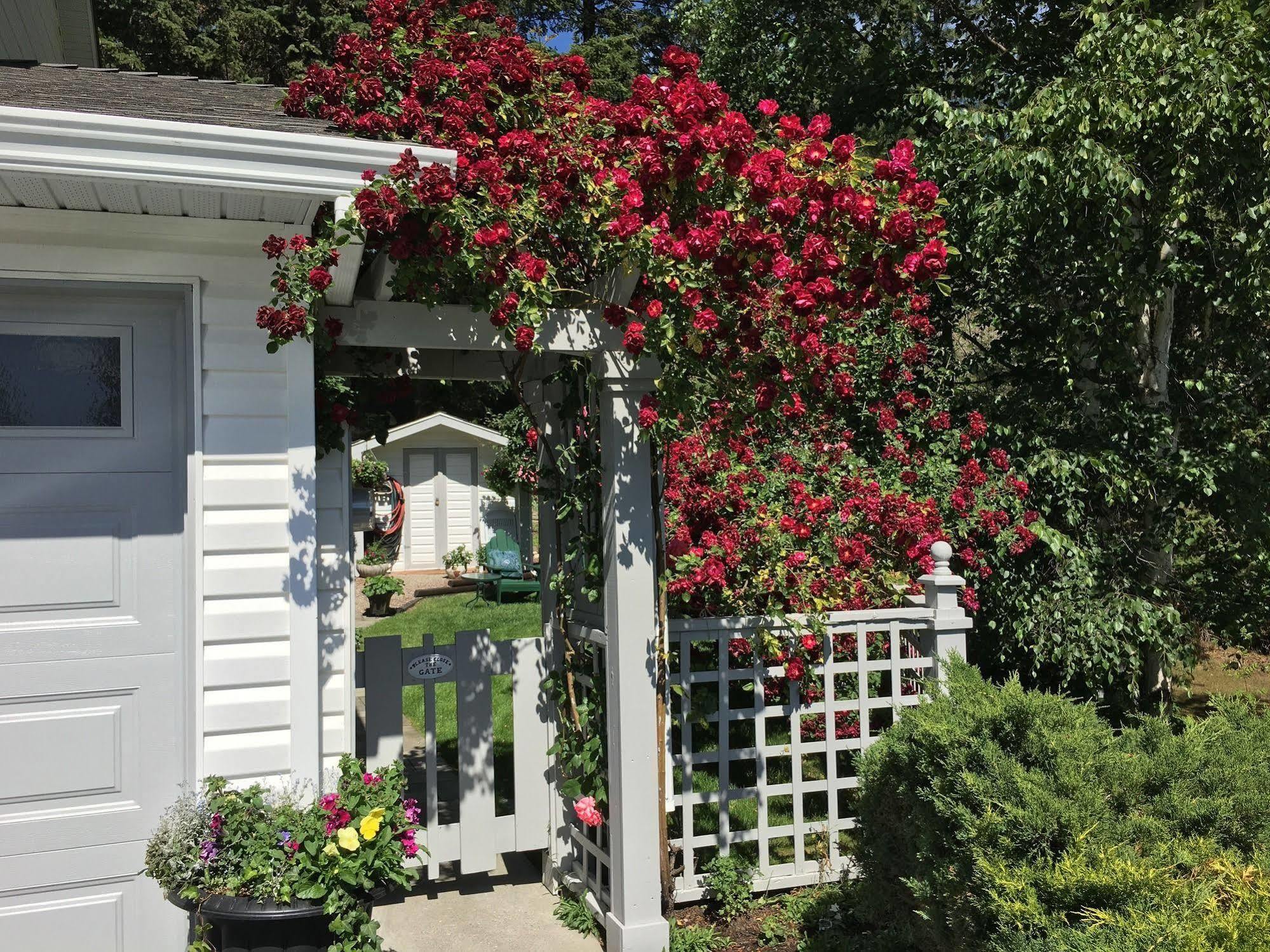 Alexandria House Bed & Breakfast West Kelowna Exterior foto